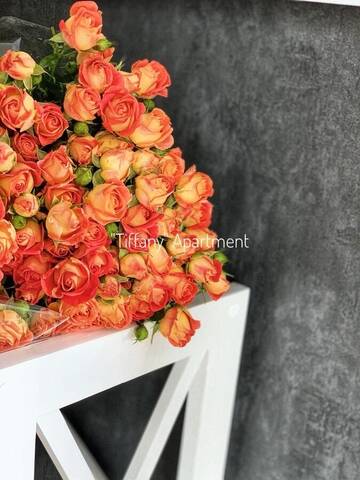 Фото номера Апартаменты с 1 спальней Апартаменты Tiffany Apartment г. Кропивницкий 8
