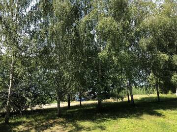Фото номера Дом с 3 спальнями Отель Отель Каталония г. Кропивницкий 7